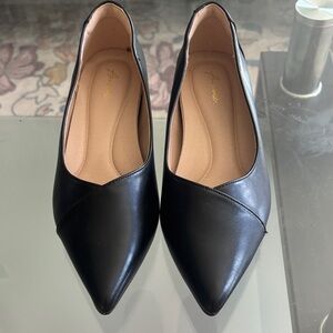 Black Pointed Toe Flats